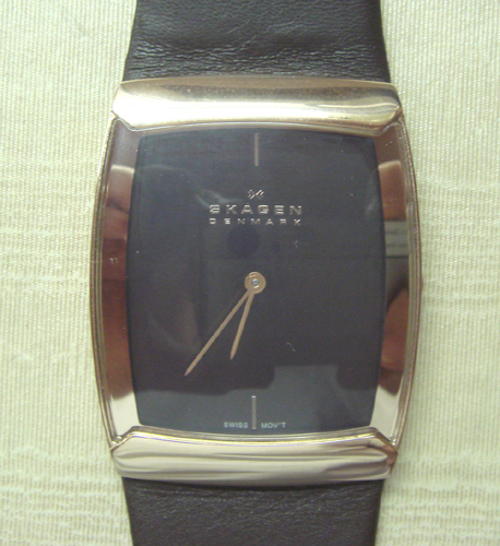 Armbanduhr Skagen - Swiss Slimline 584LRLM